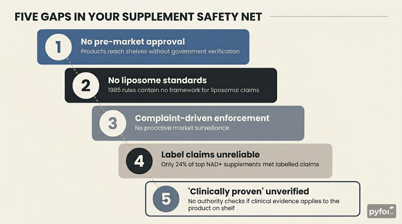 Numbered list infographic showing five regulatory gaps in New Zealand supplement oversight with risk indicators for each gap